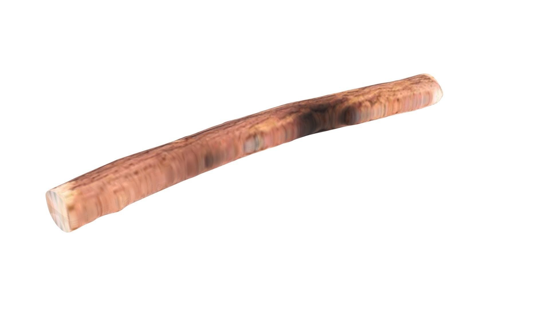 Licorice Root 3D model_16