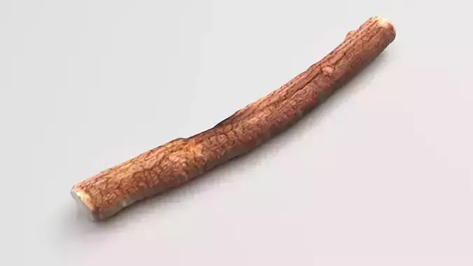 Licorice Root 3D model
