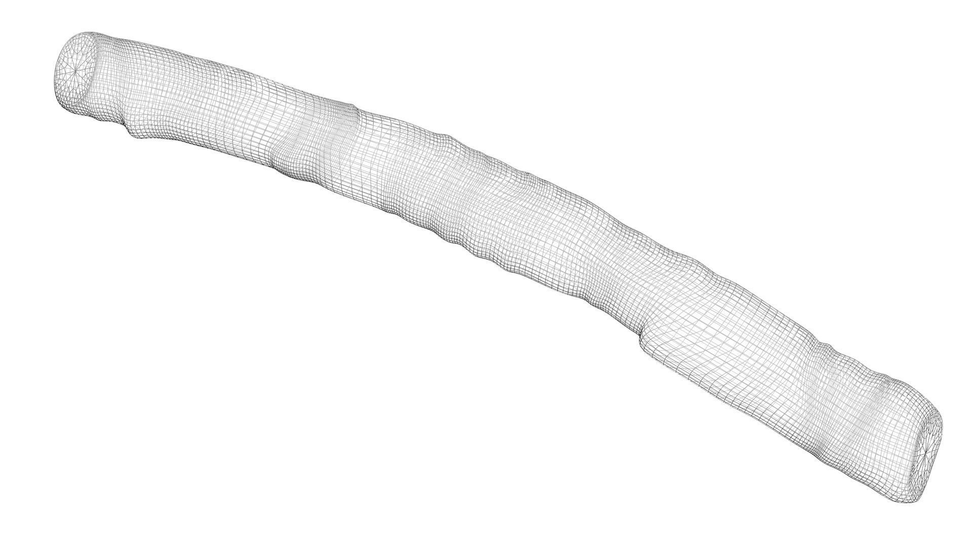 Licorice Root 3D model_23