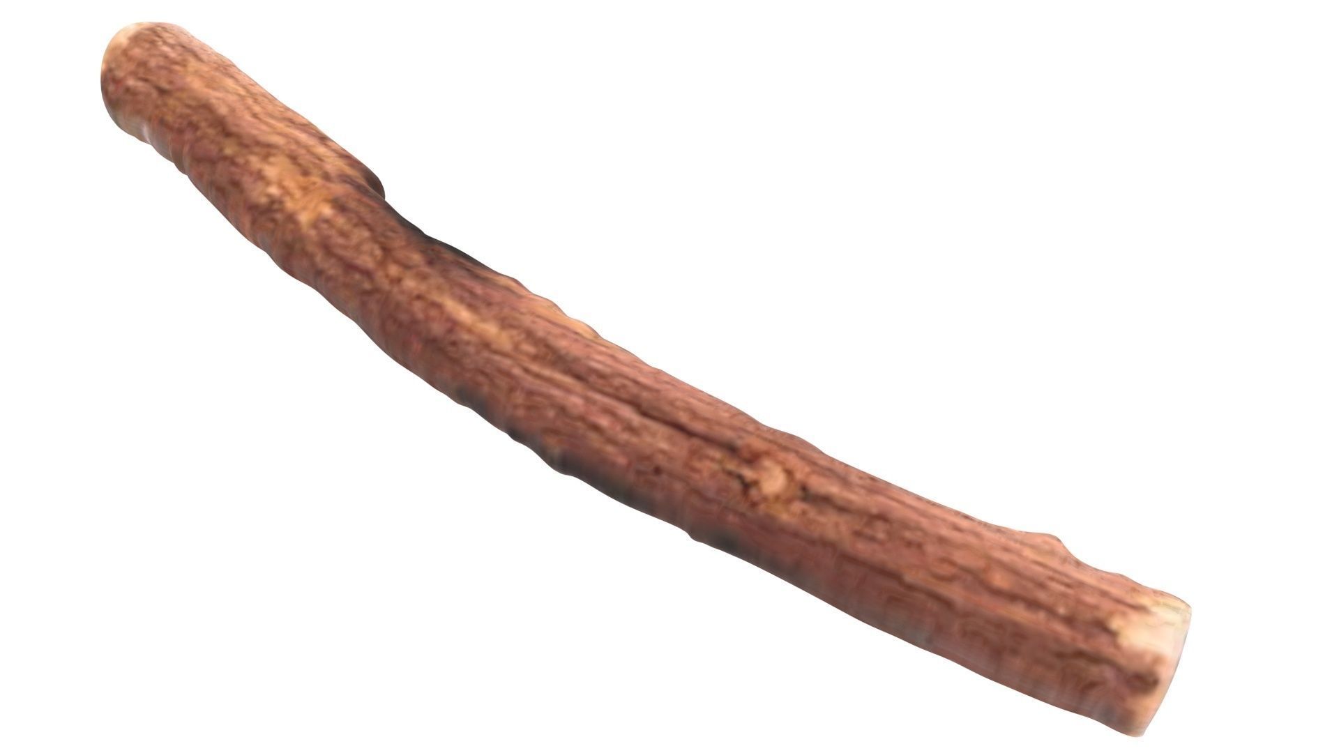 Licorice Root 3D model_11