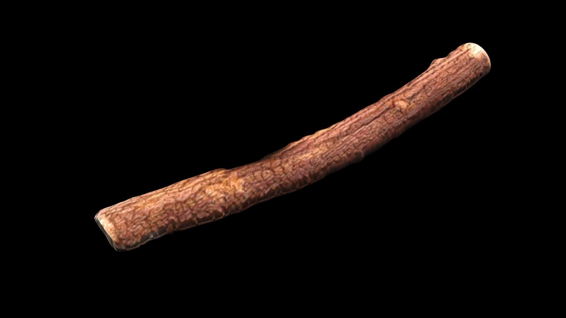 Licorice Root 3D model_9