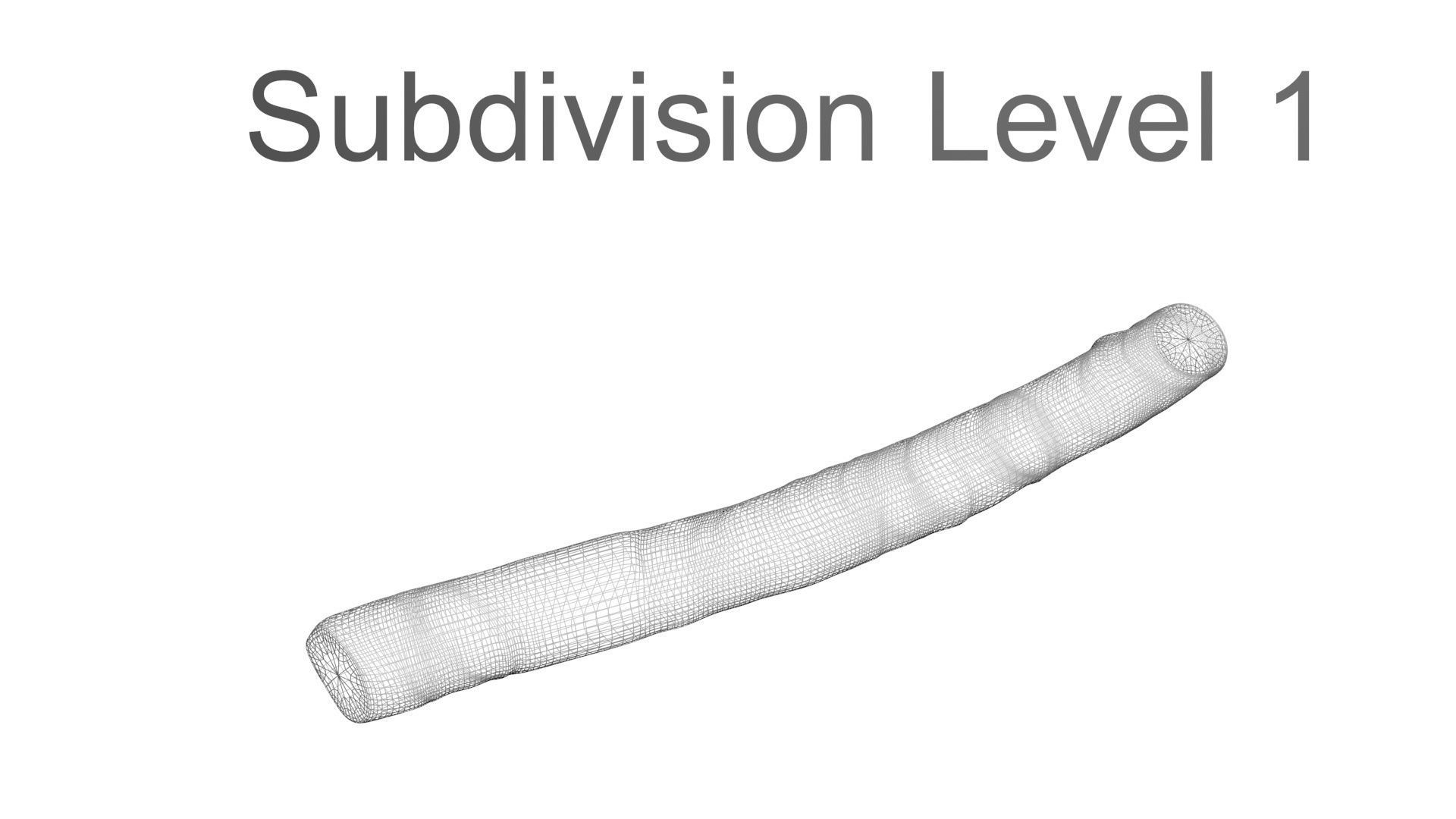 Licorice Root 3D model_26