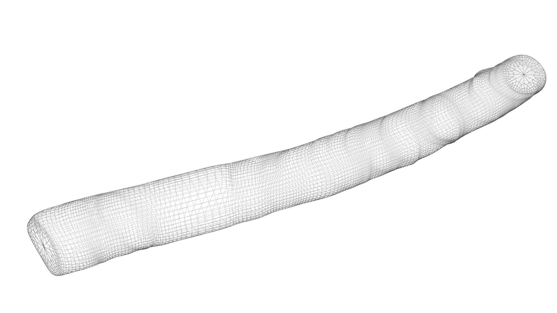 Licorice Root 3D model_20