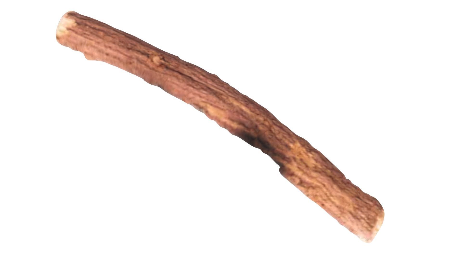 Licorice Root 3D model_13