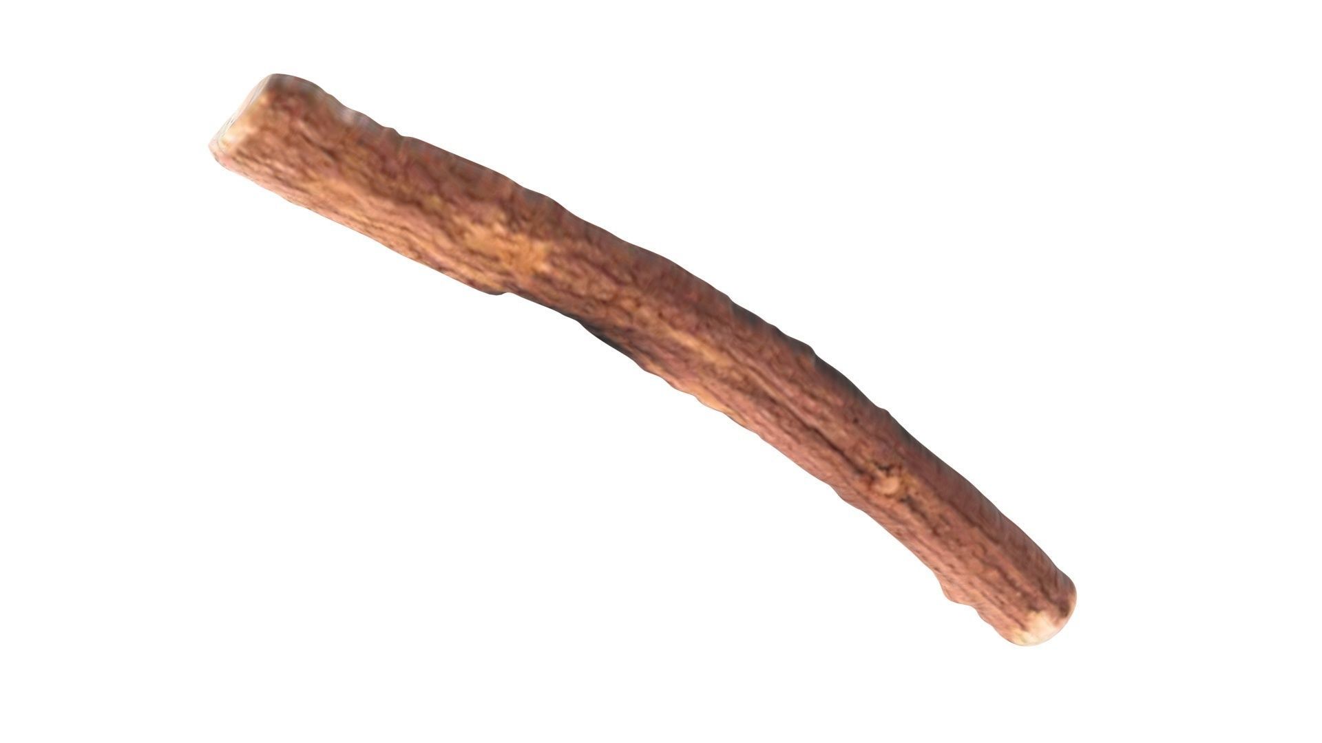 Licorice Root 3D model_18