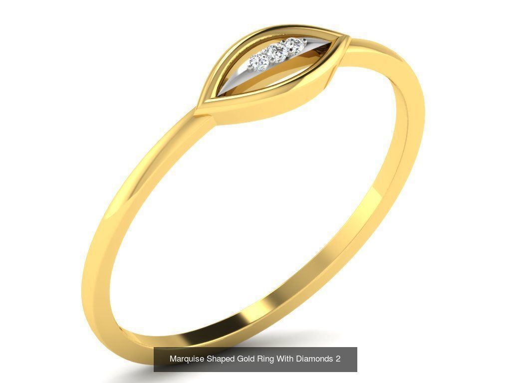 3DM 50 RING FILES 3D Model Collection_35