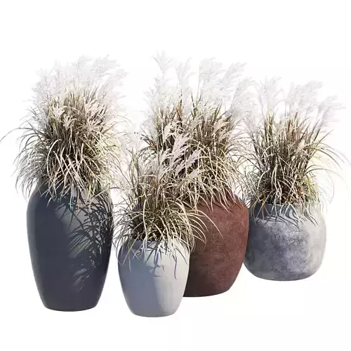 Ronan Ficonstone Indoor