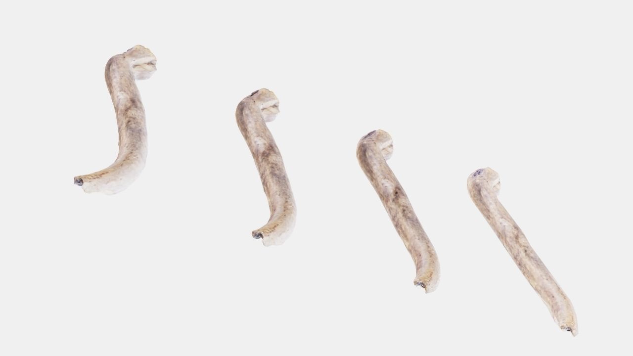 PSWooden005 scanned stick 3D model_6