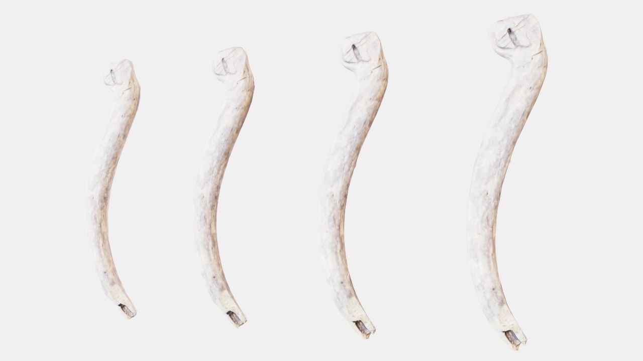 PSWooden005 scanned stick 3D model_4