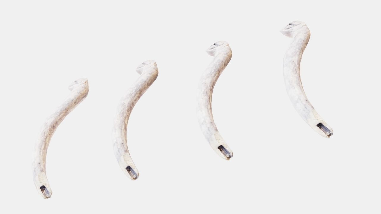 PSWooden005 scanned stick 3D model_7