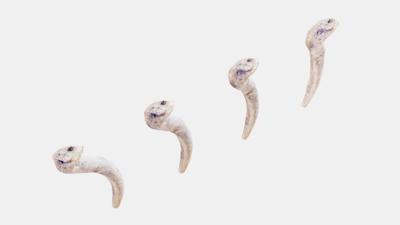 PSWooden005 scanned stick 3D model_5