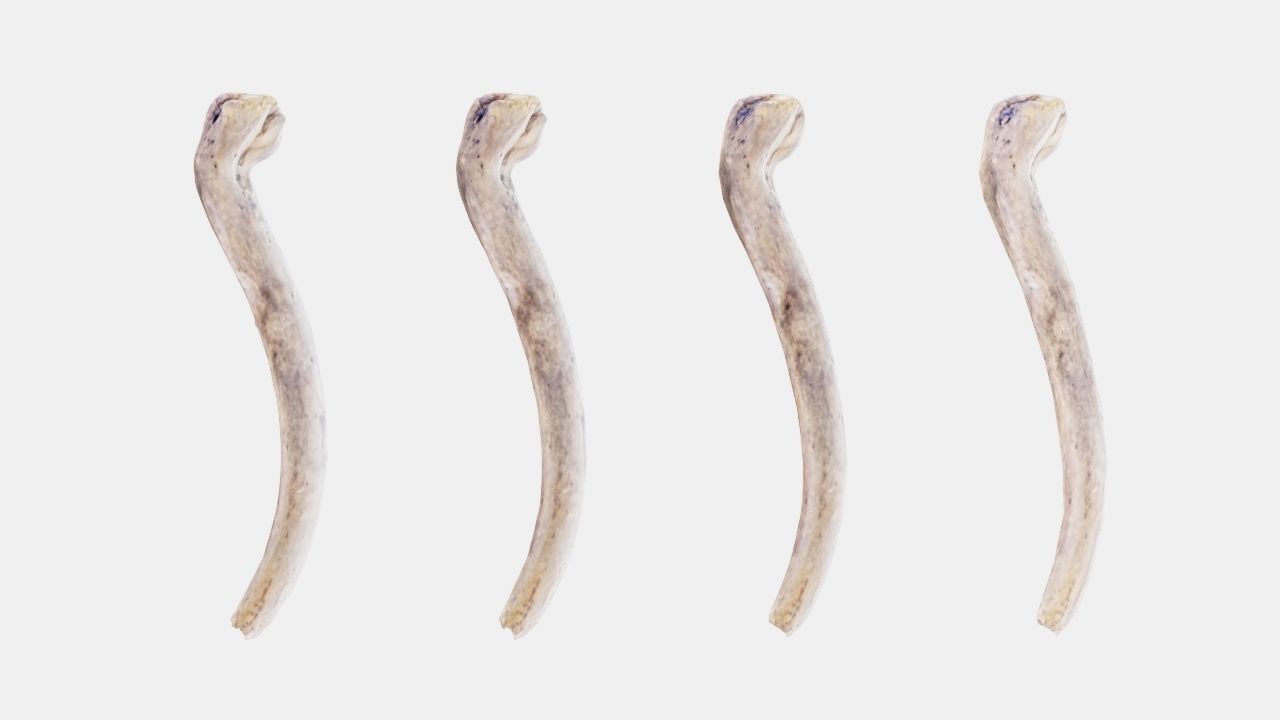 PSWooden005 scanned stick 3D model_1