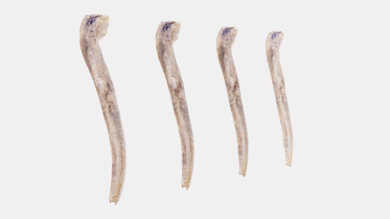 PSWooden005 scanned stick 3D model_2