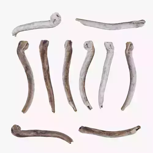 PSWooden005 scanned stick