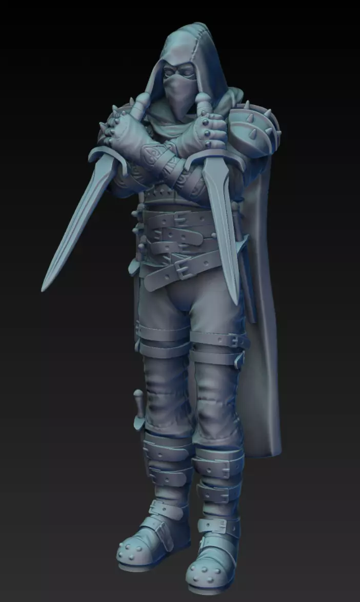 Rogue Miniature 3D print model_0