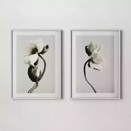 Poster set Flowers