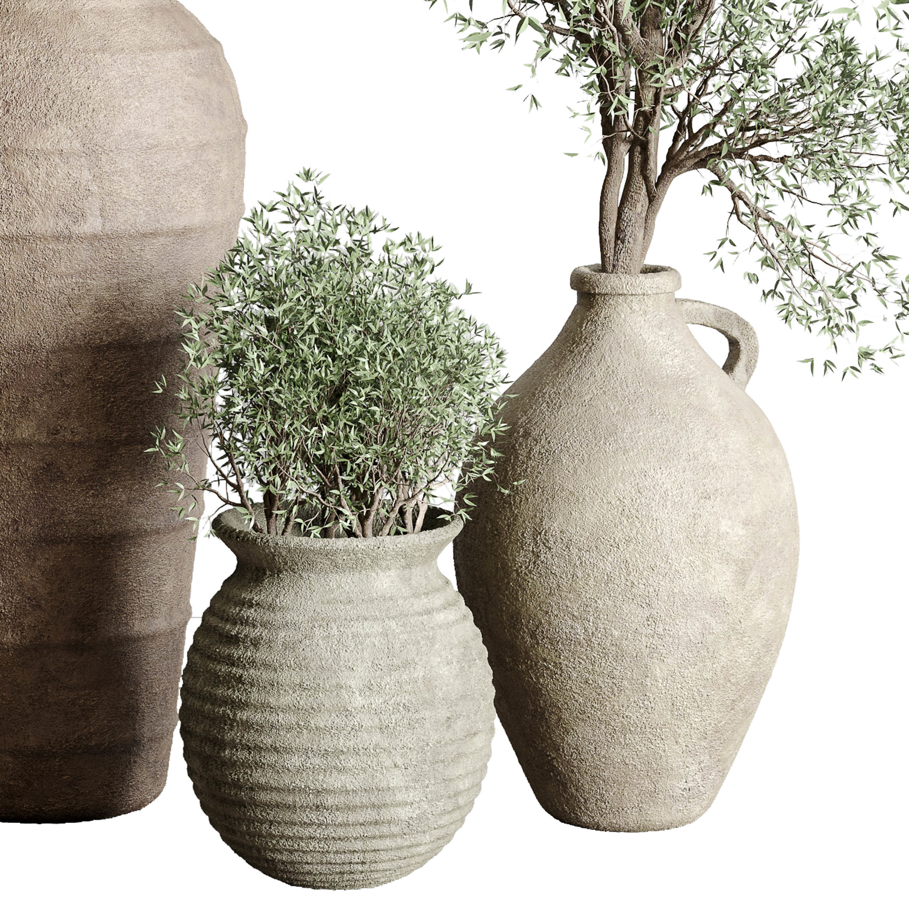 Olive tree in an old earthenware vase indoor set 351 Low-poly 3D model_4