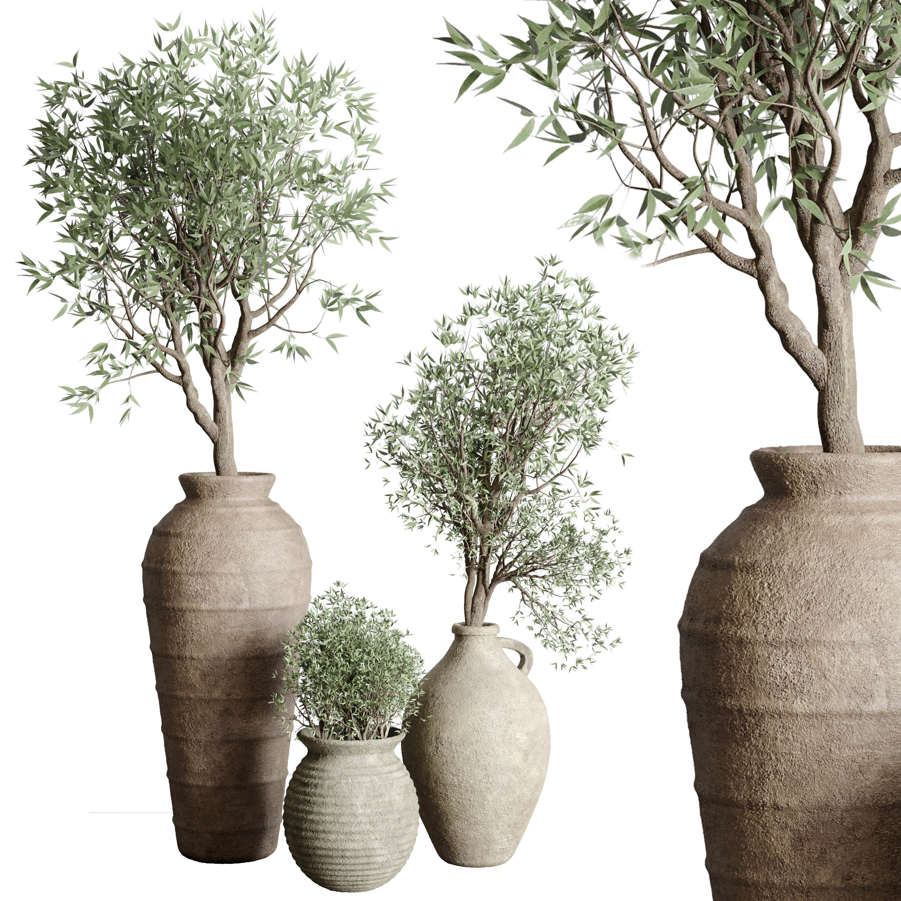 Olive tree in an old earthenware vase indoor set 351 Low-poly 3D model_1