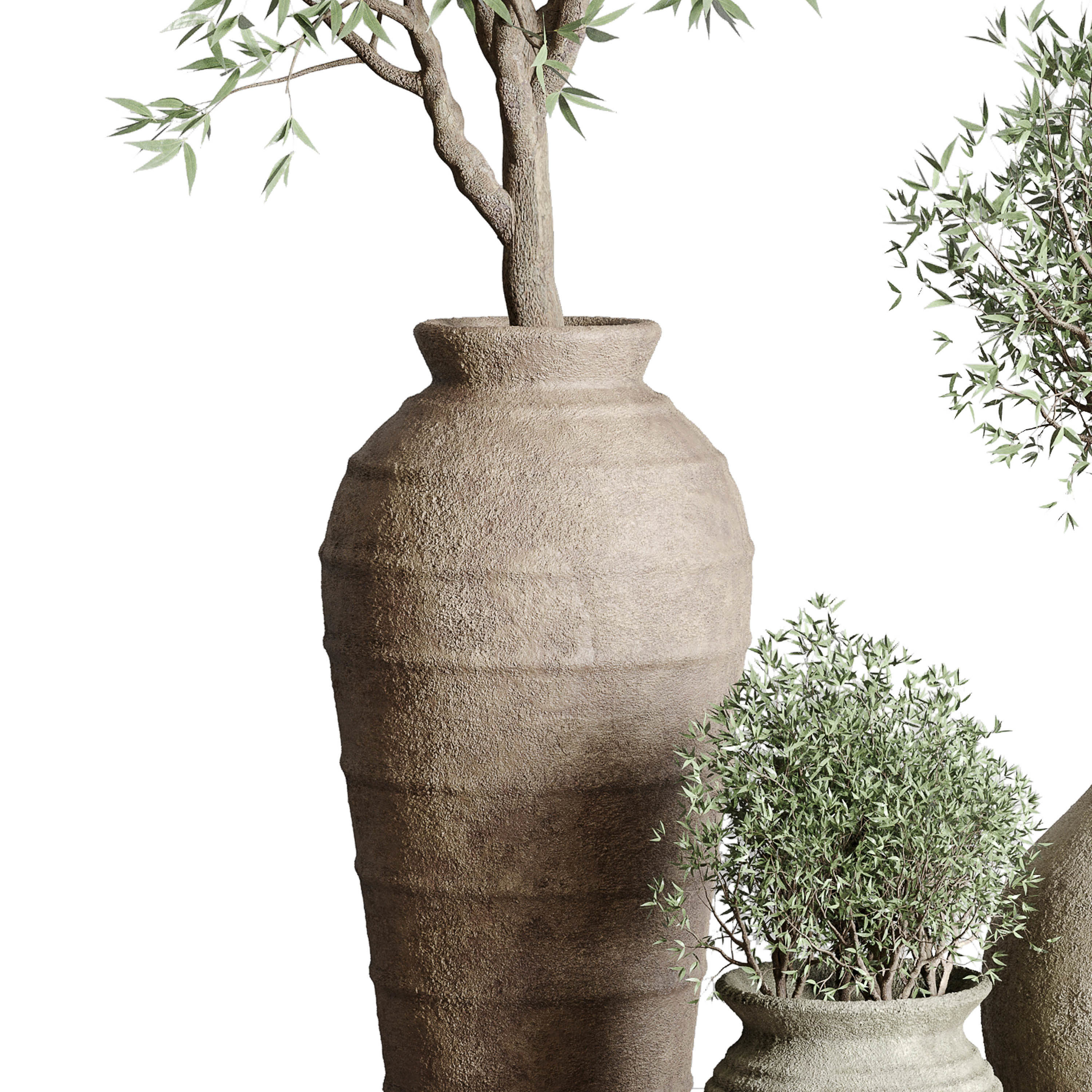Olive tree in an old earthenware vase indoor set 351 Low-poly 3D model_3