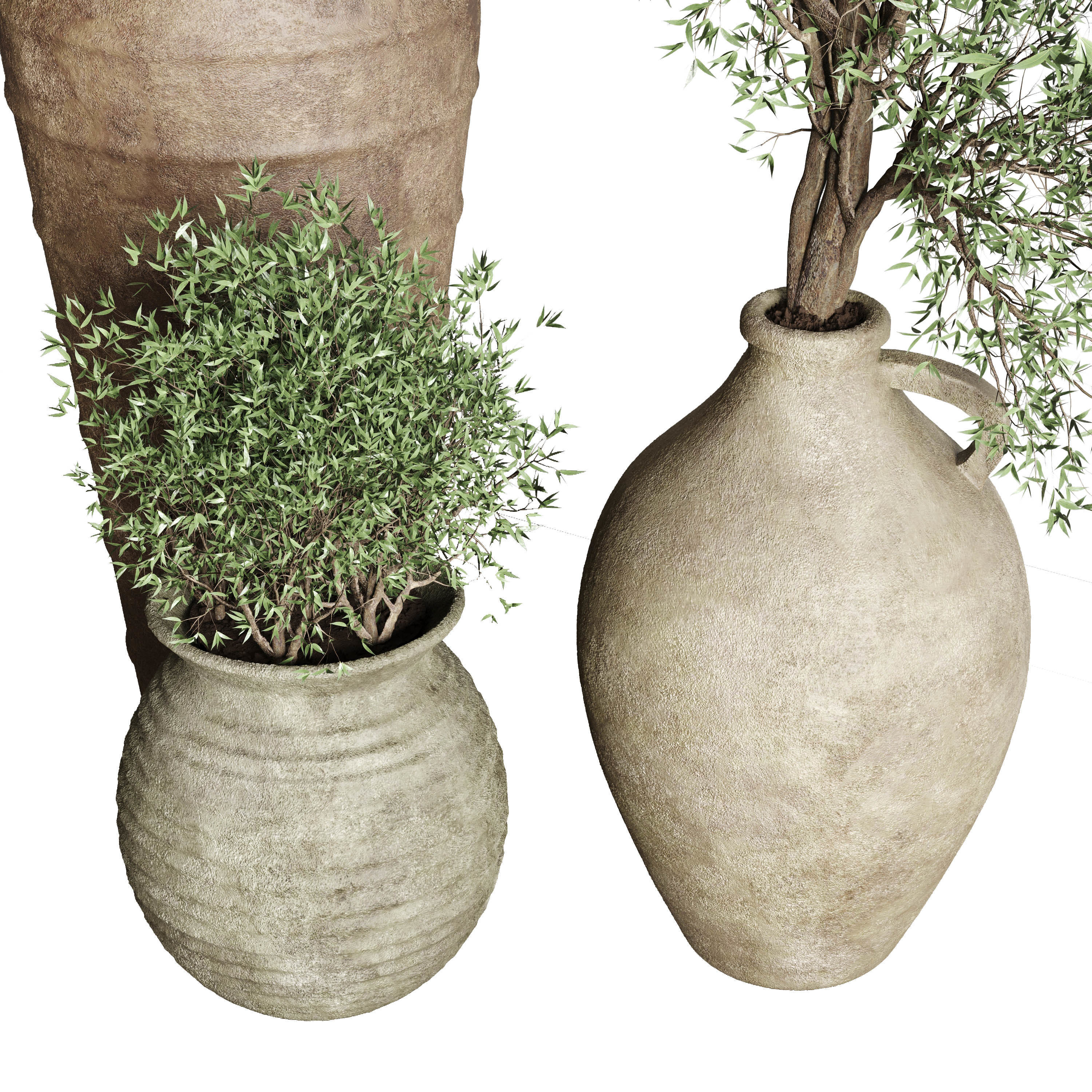 Olive tree in an old earthenware vase indoor set 351 Low-poly 3D model_2