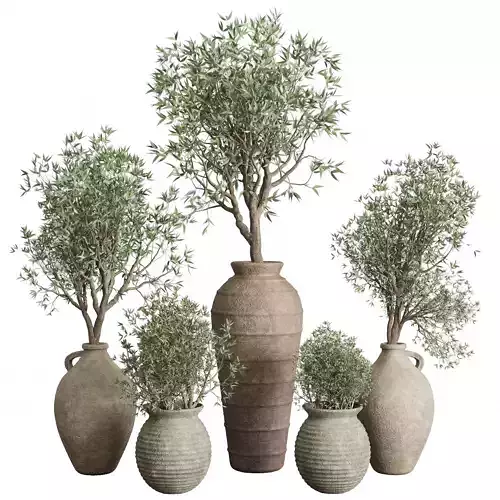 Olive tree in an old earthenware vase indoor set 351 Low-poly 3D model Olive tree in an old earthenware vase indoor set 351 Low-poly 3D model