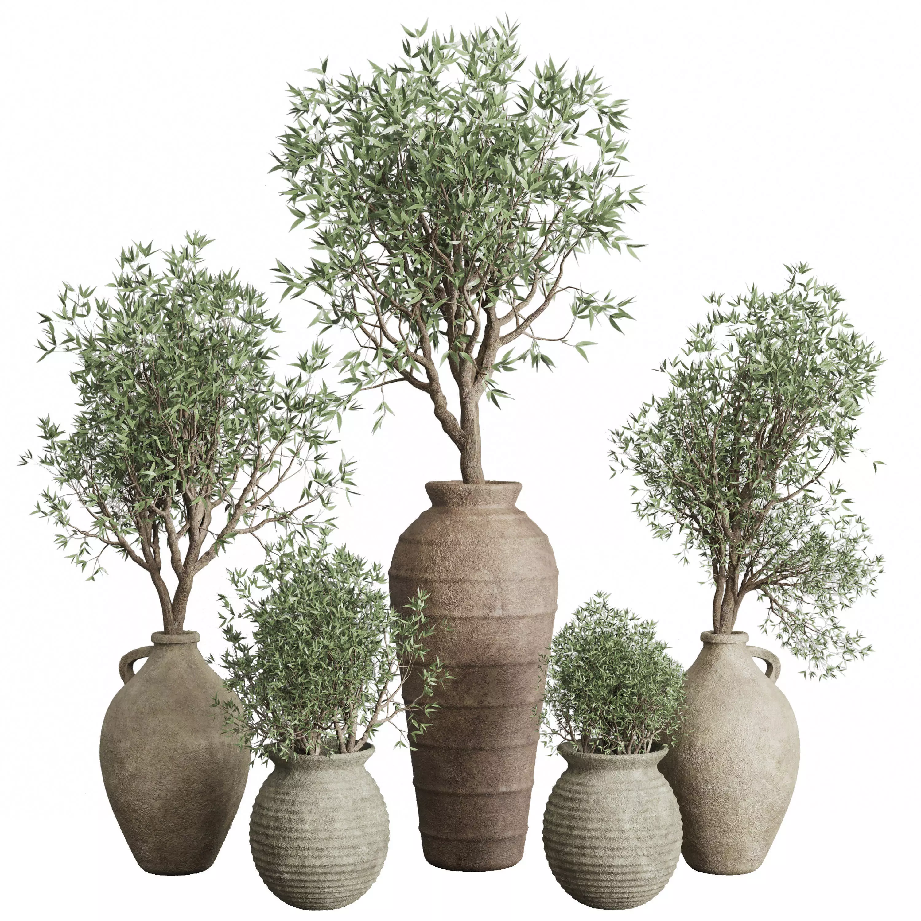 Olive tree in an old earthenware vase indoor set 351 Low-poly 3D model_0
