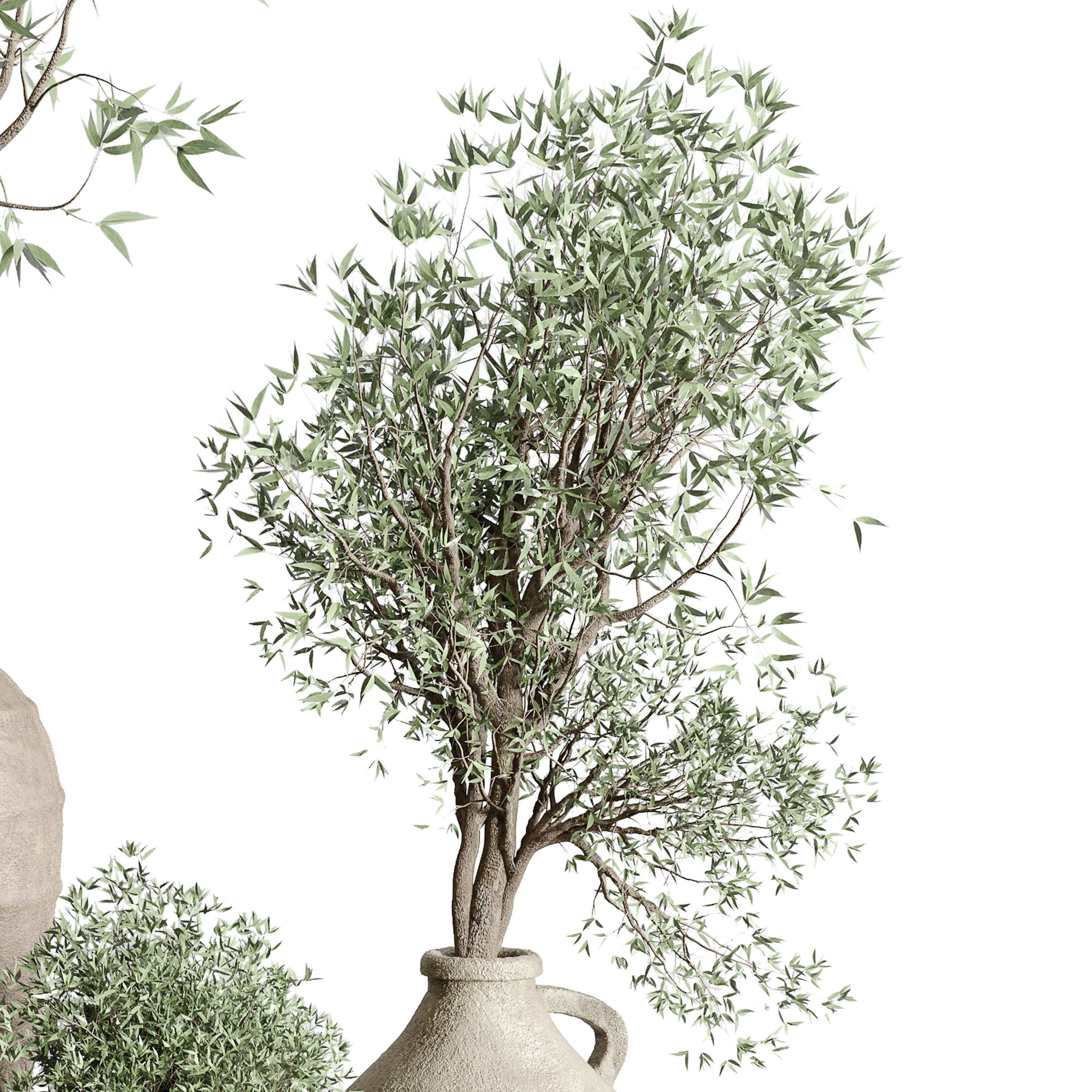 Olive tree in an old earthenware vase indoor set 351 Low-poly 3D model_5