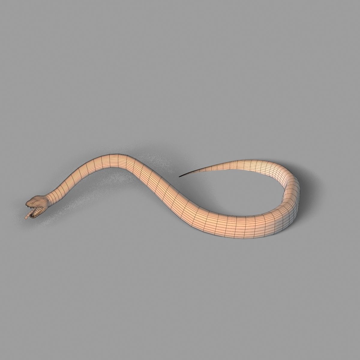 Skined LowPoly Realistic Black Python Snake 3D model rigged | CGTrader