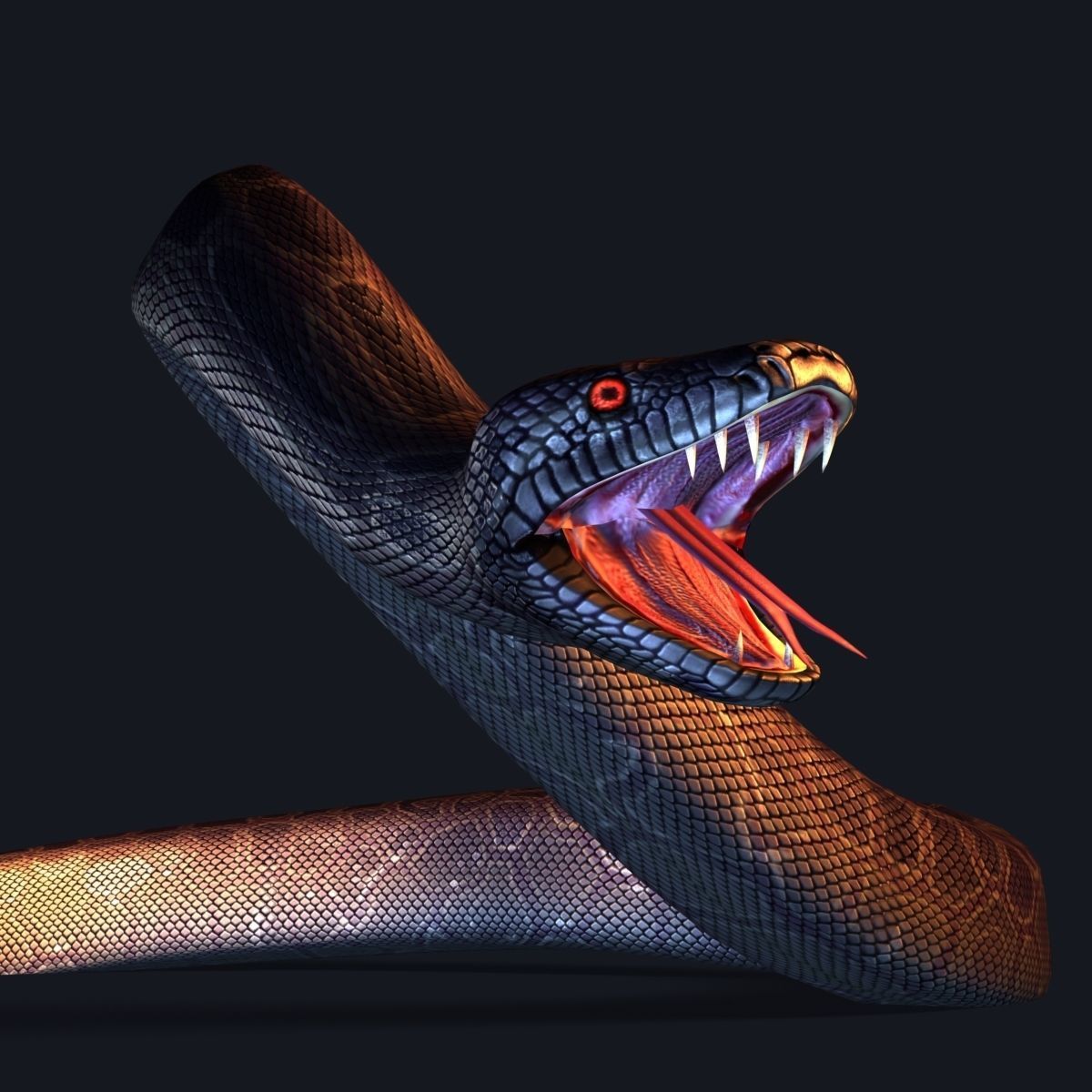 Skined LowPoly Realistic Black Python Snake 3D model rigged | CGTrader