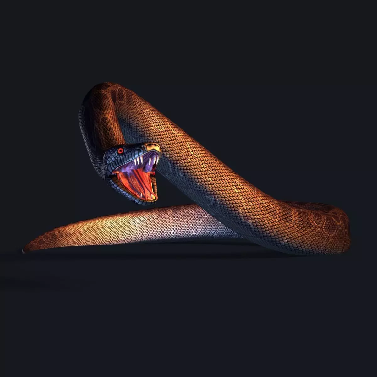 Skined LowPoly Realistic Black Python Snake 3D model