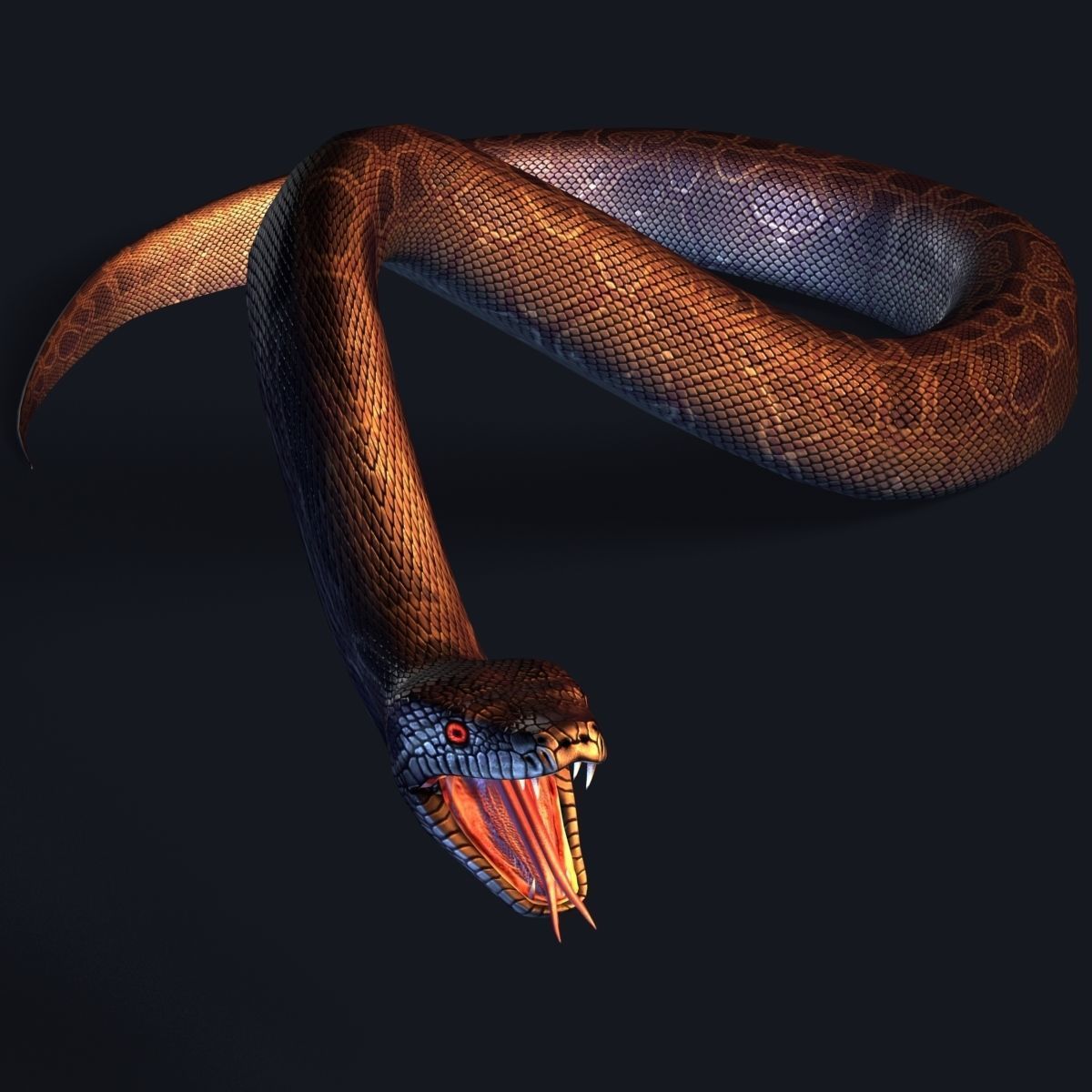 Skined LowPoly Realistic Black Python Snake 3D model rigged | CGTrader