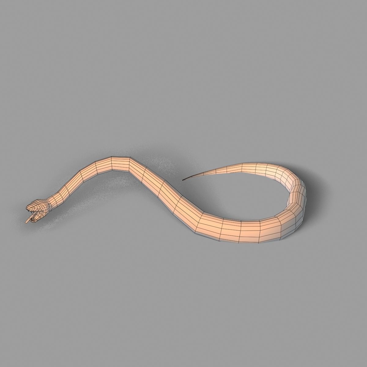 Skined LowPoly Realistic Black Python Snake 3D model rigged | CGTrader