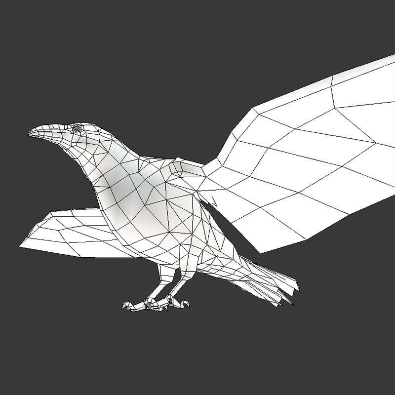 Low Poly Black Raven Wild Bird Crow Low-poly 3D model_21