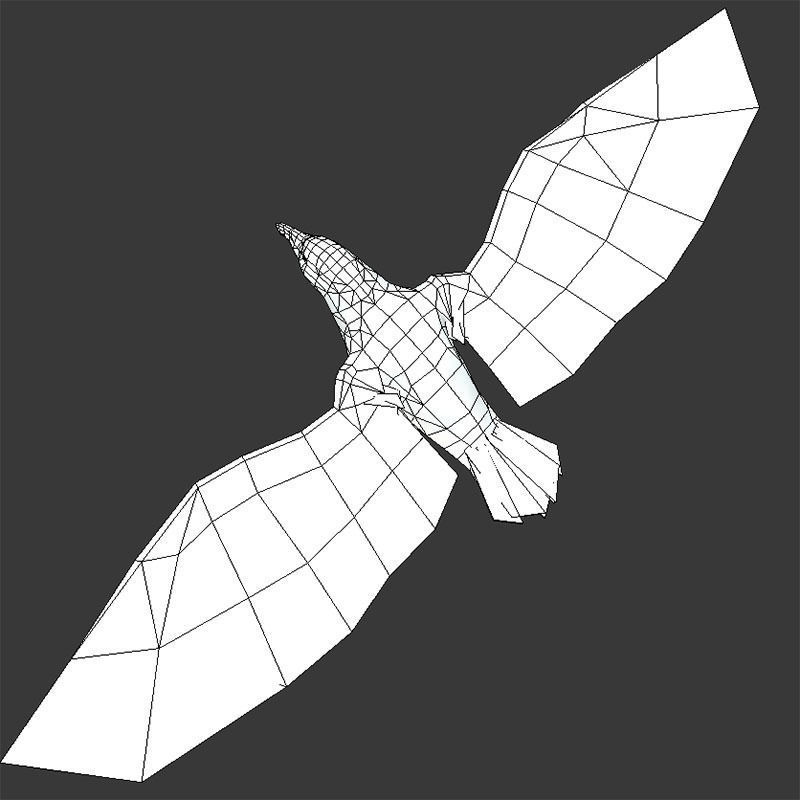 Low Poly Black Raven Wild Bird Crow Low-poly 3D model_20