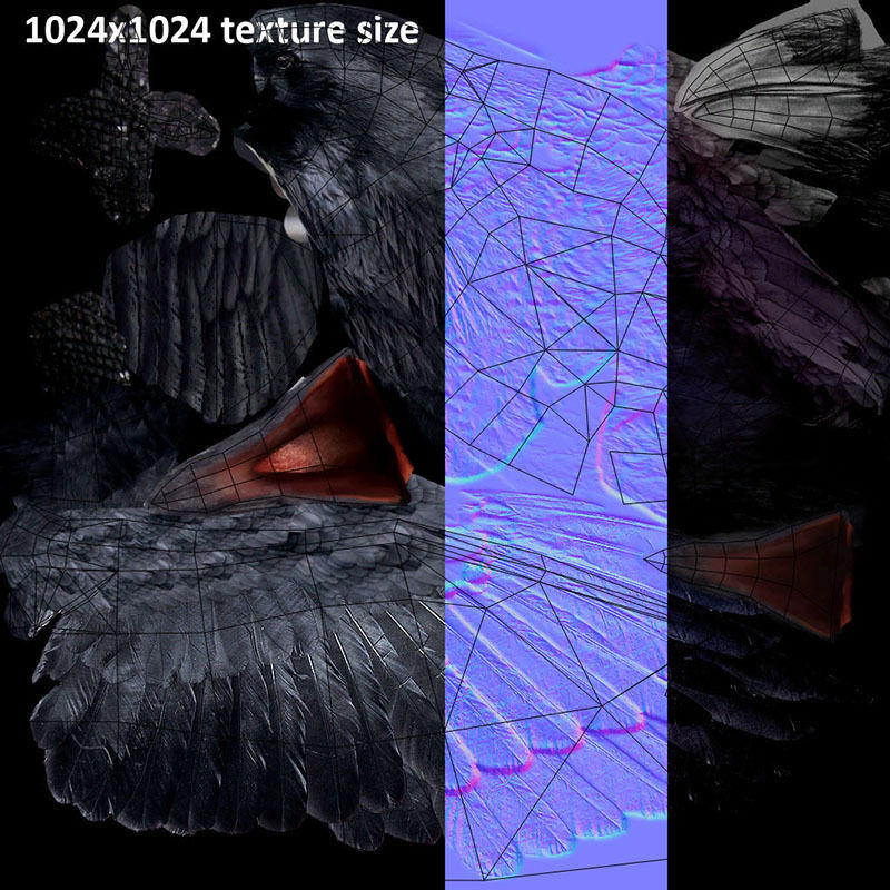 Low Poly Black Raven Wild Bird Crow Low-poly 3D model_22