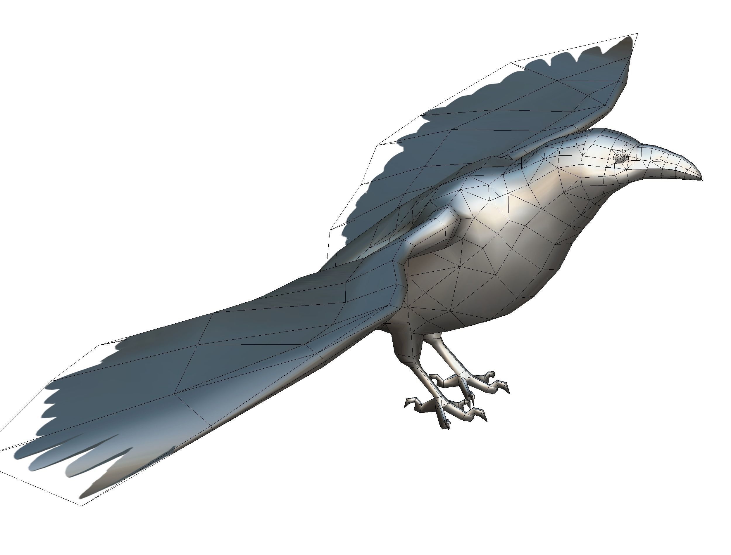 Low Poly Black Raven Wild Bird Crow Low-poly 3D model_15