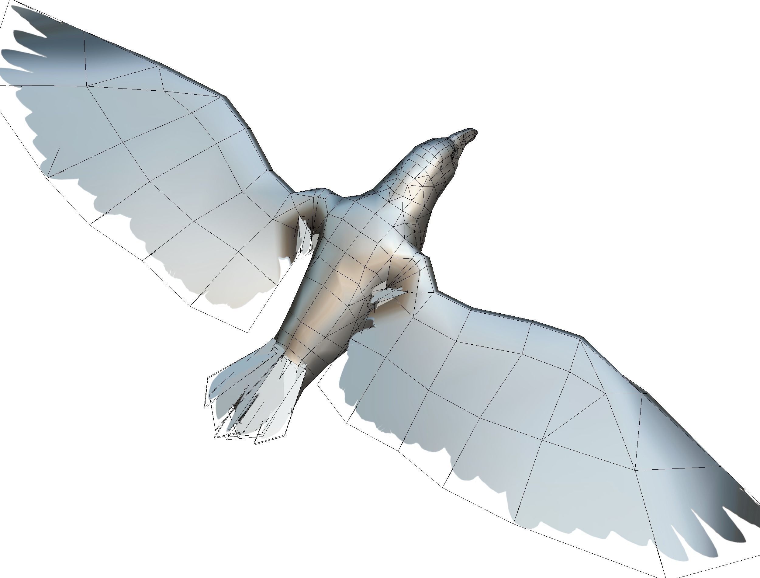 Low Poly Black Raven Wild Bird Crow Low-poly 3D model_13