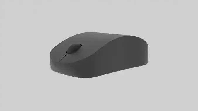 Computer mouse