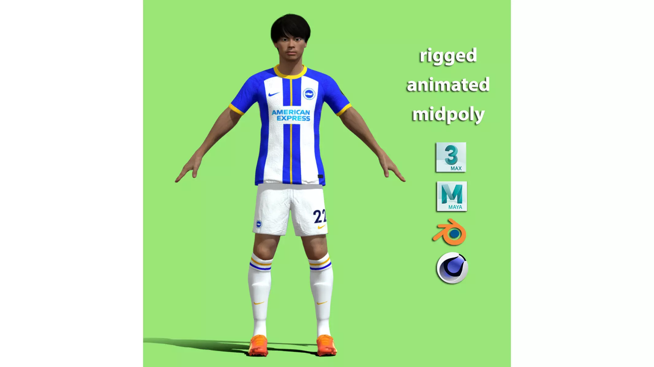 T-P Rigged Mitoma Kaoru Brighton Hove Albion 3D model_0