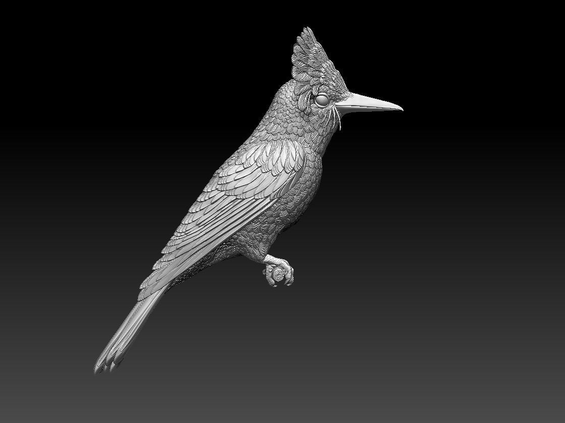 Amazonian royal flycatcher 3D print model_9