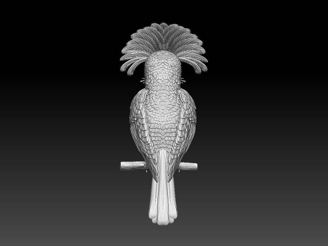 Amazonian royal flycatcher 3D print model_7