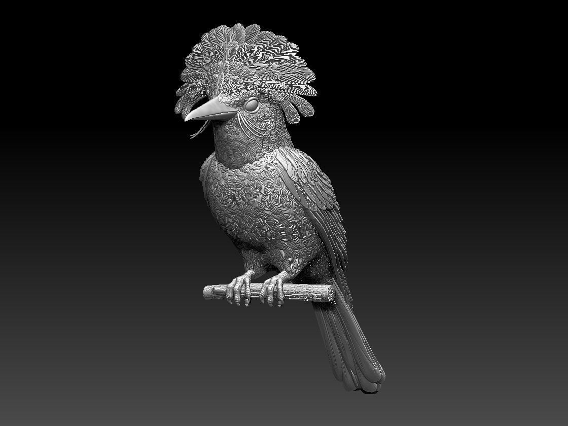 Amazonian royal flycatcher 3D print model_1