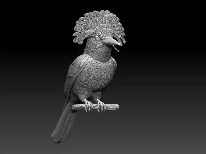 Amazonian royal flycatcher 3D print model