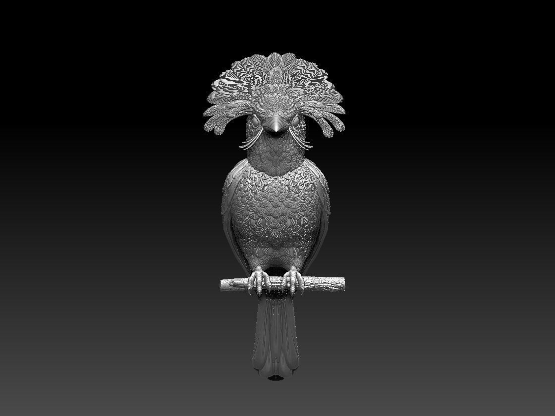 Amazonian royal flycatcher 3D print model_2