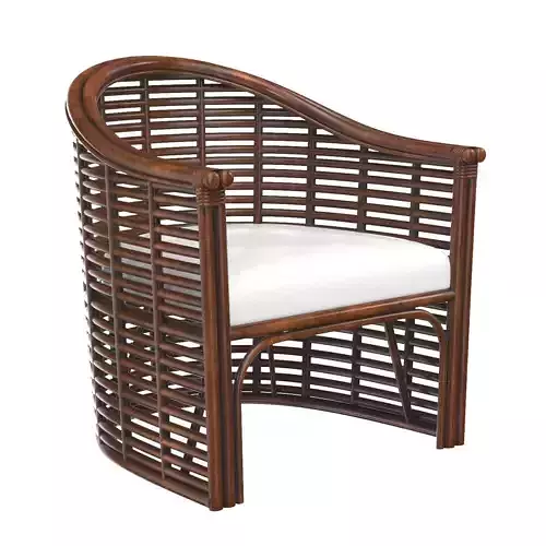 Knox Rattan Accent Arm Chair