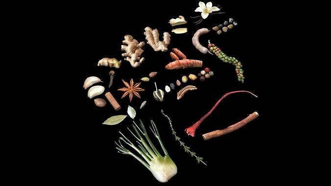 Spices Collection 3D model 3
