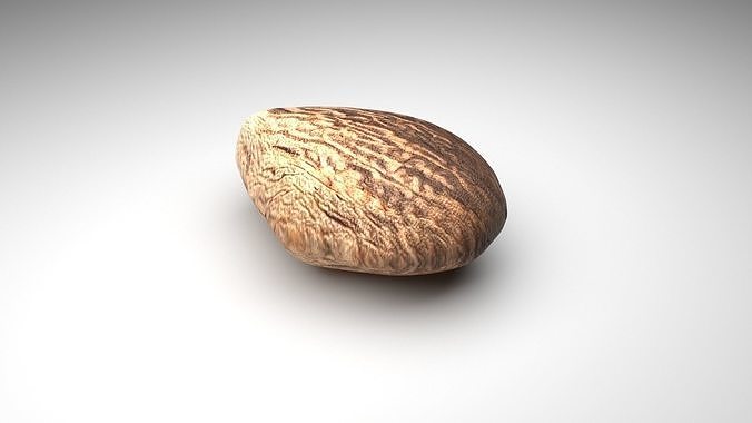 Spices Collection 3D model 5