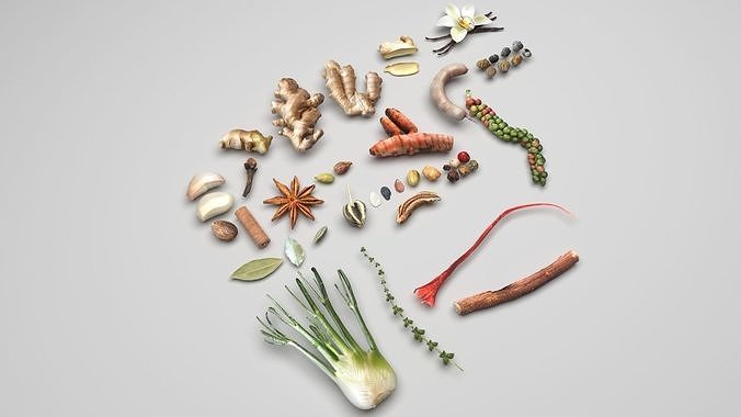 Spices Collection 3D model 4