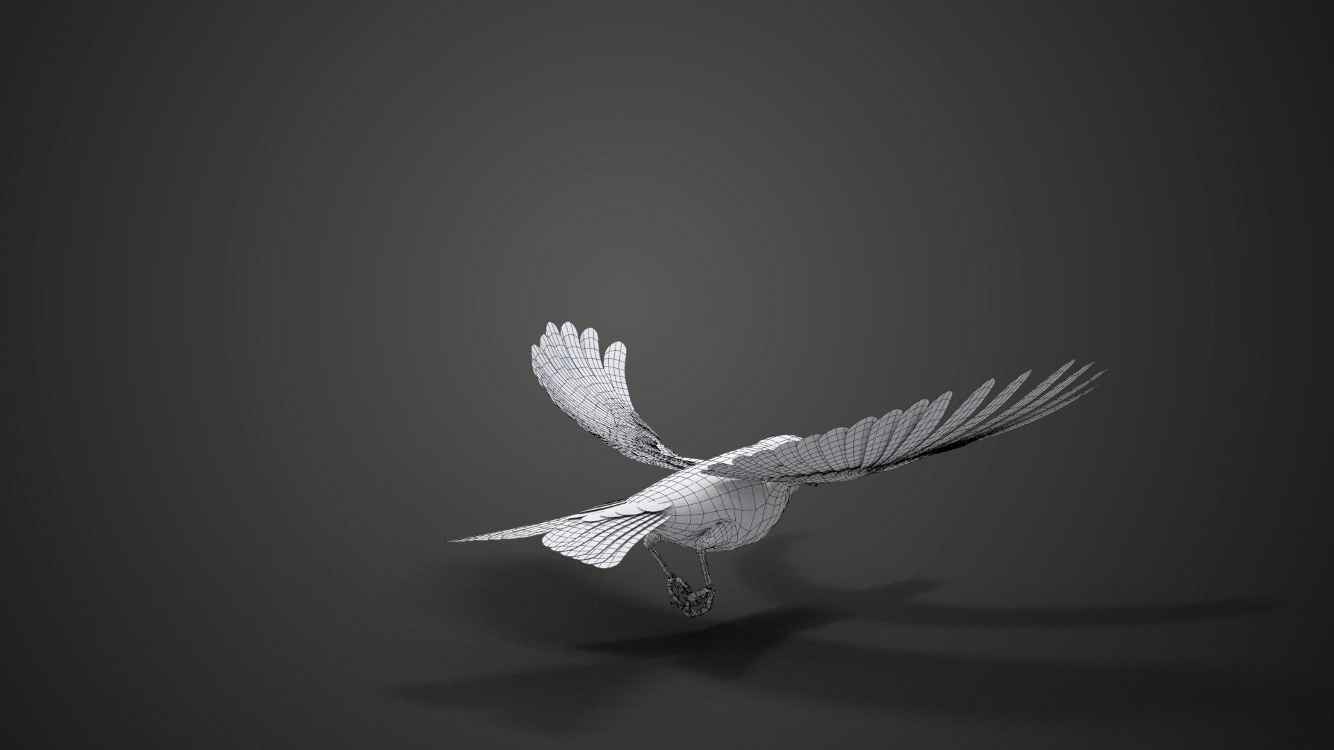 Lazuli Bunting Bird Animated VFX Grace 3D model_19