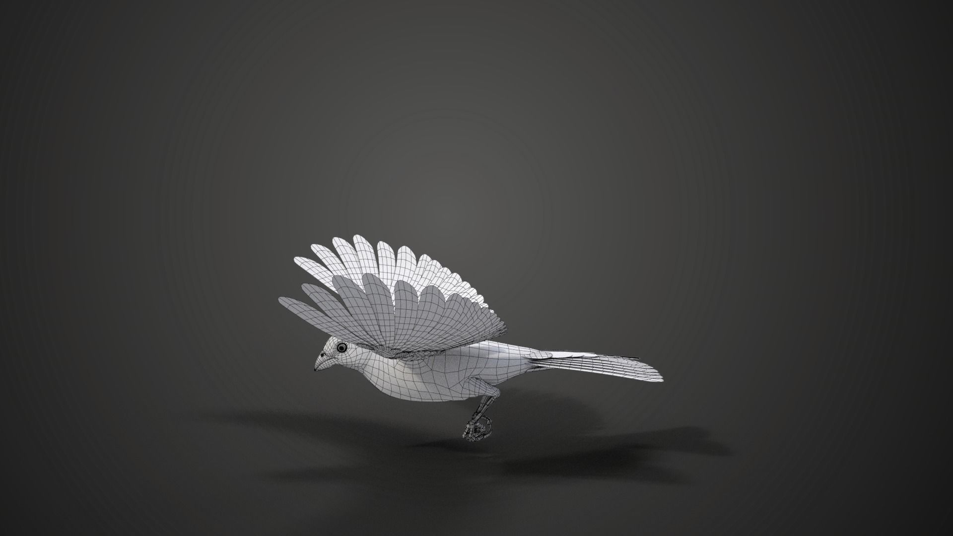 Lazuli Bunting Bird Animated VFX Grace 3D model_17